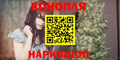 трава Новокубанск