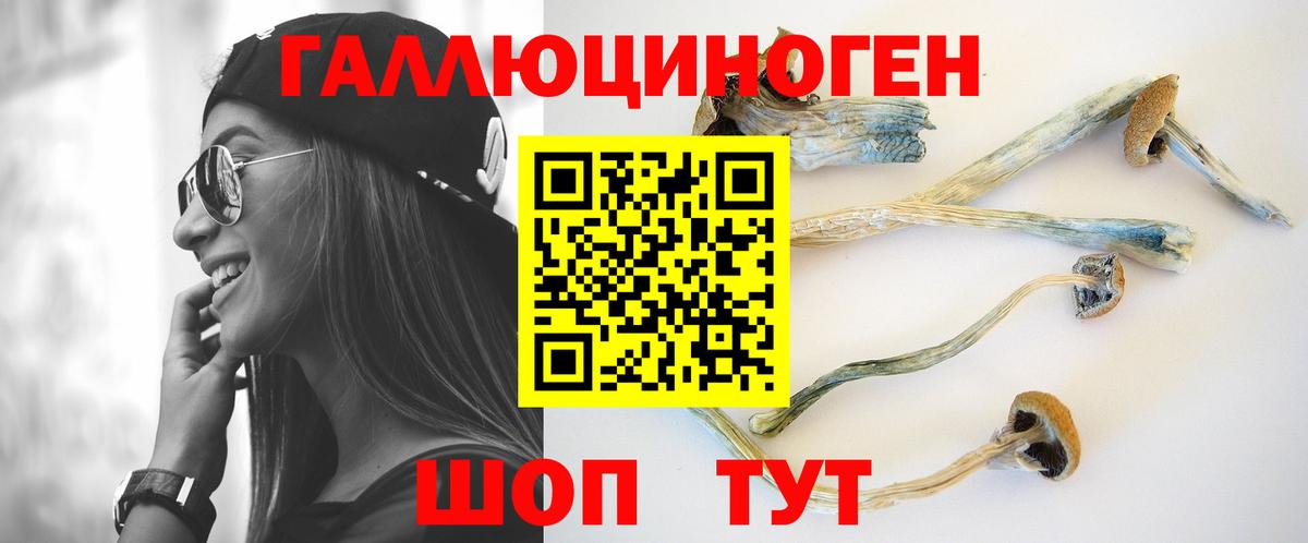 Сокол  наркота  Вход с VPN  Галлюциногенные грибы Psilocybe 